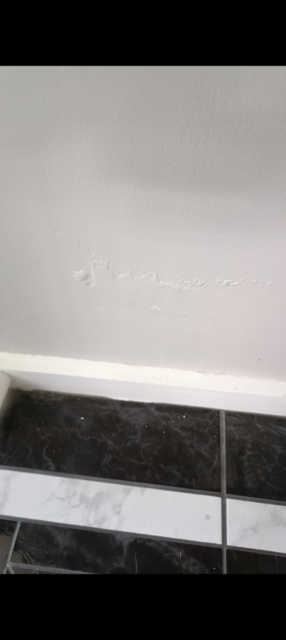 Wall repair and painting project photo 7