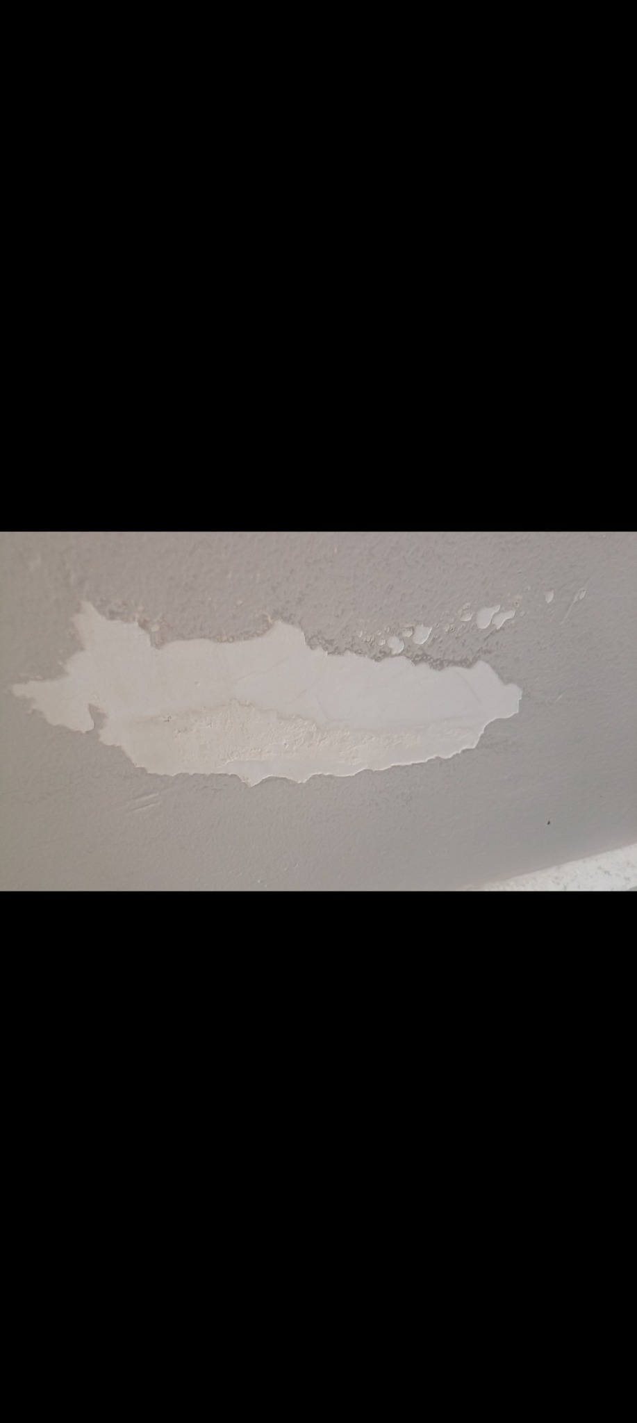 Wall repair and painting project photo 8