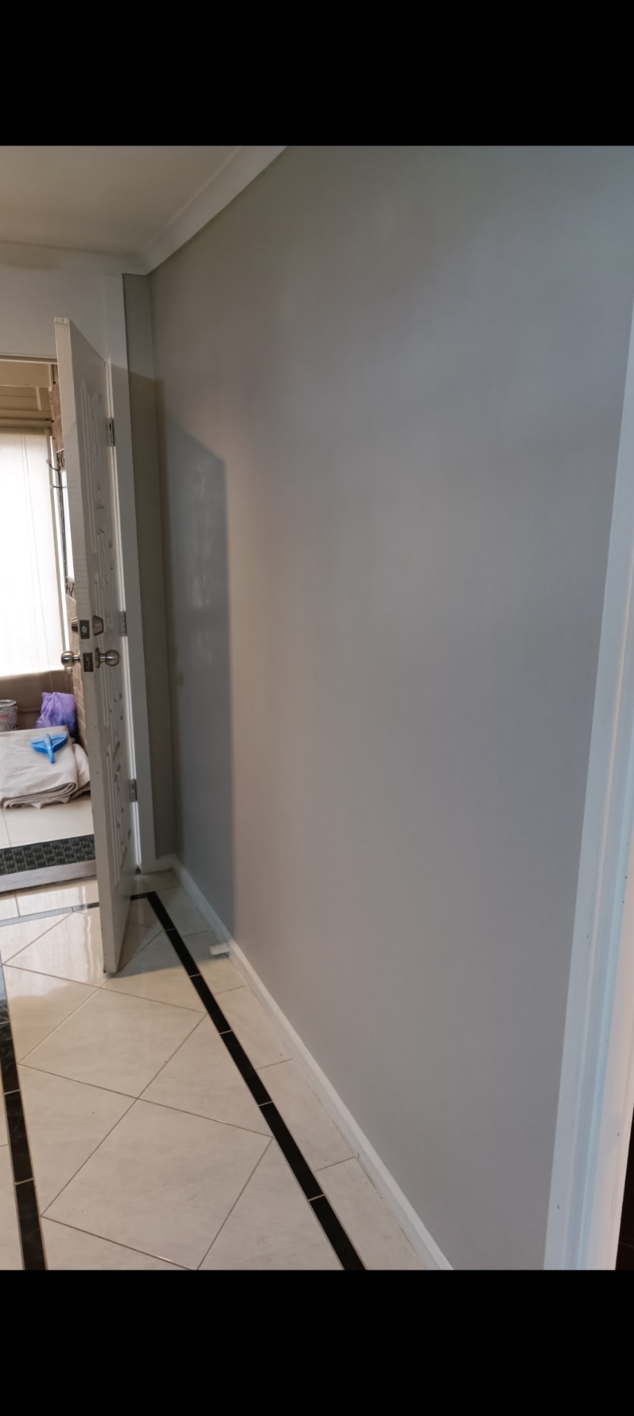 Wall repair and painting project photo 13