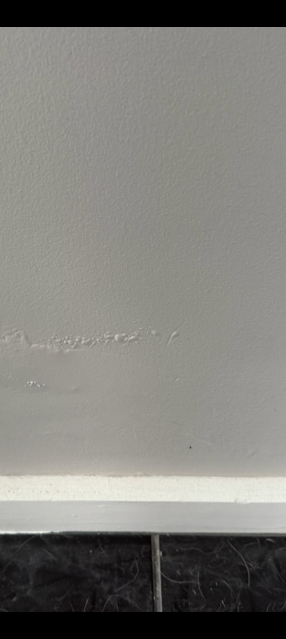 Wall repair and painting project photo 14