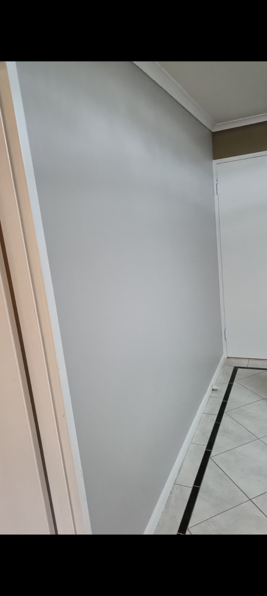 Wall repair and painting project photo 17