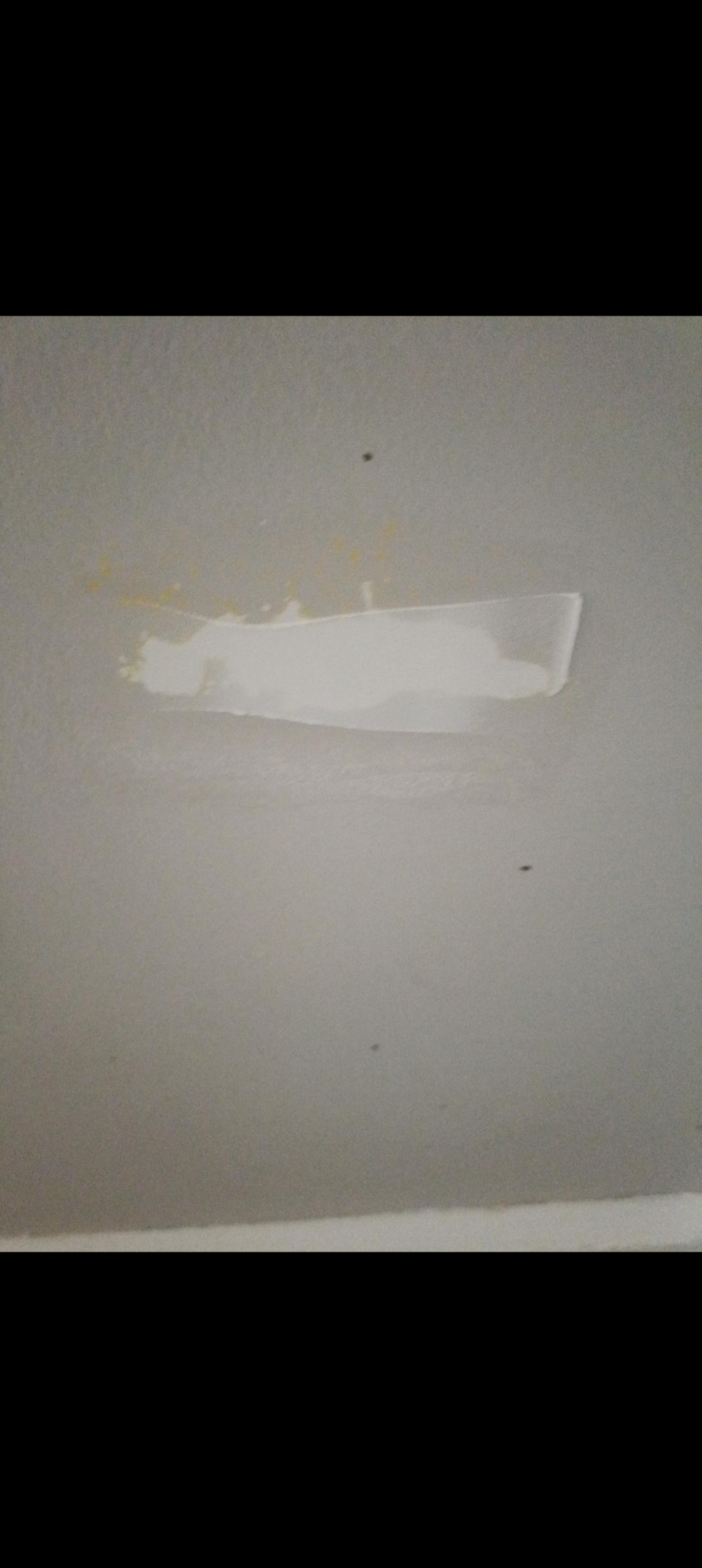 Wall repair and painting project photo 18